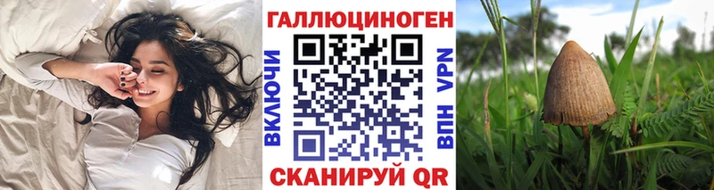 MEGA маркетплейс  Шебекино  Галлюциногенные грибы Magic Shrooms 
