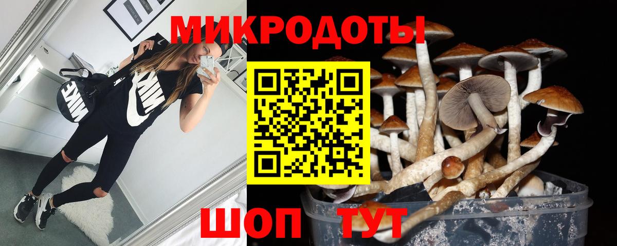 Галлюциногенные грибы GOLDEN TEACHER Шебекино