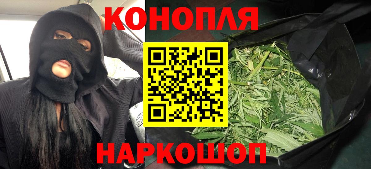 Конопля гибрид  Конопля ГИДРОПОН  Канабис Ganja  Конопля THC 21%  Шебекино  Вход с VPN 